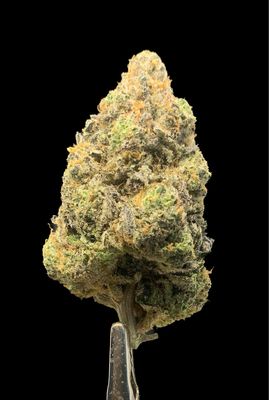 Chocolate Kush
