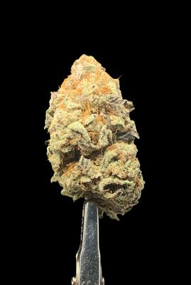 Afghan Kush