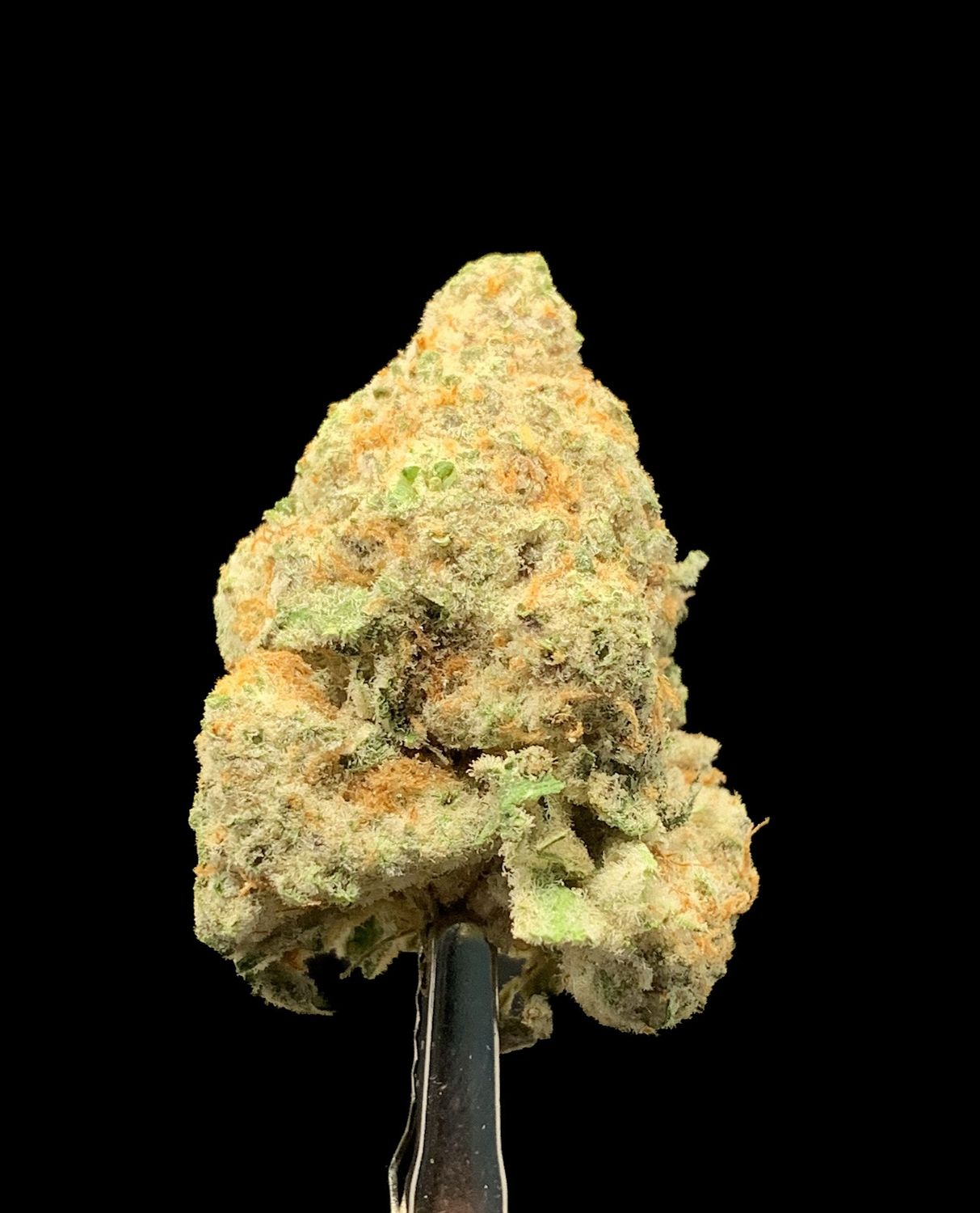 Purple Punch
