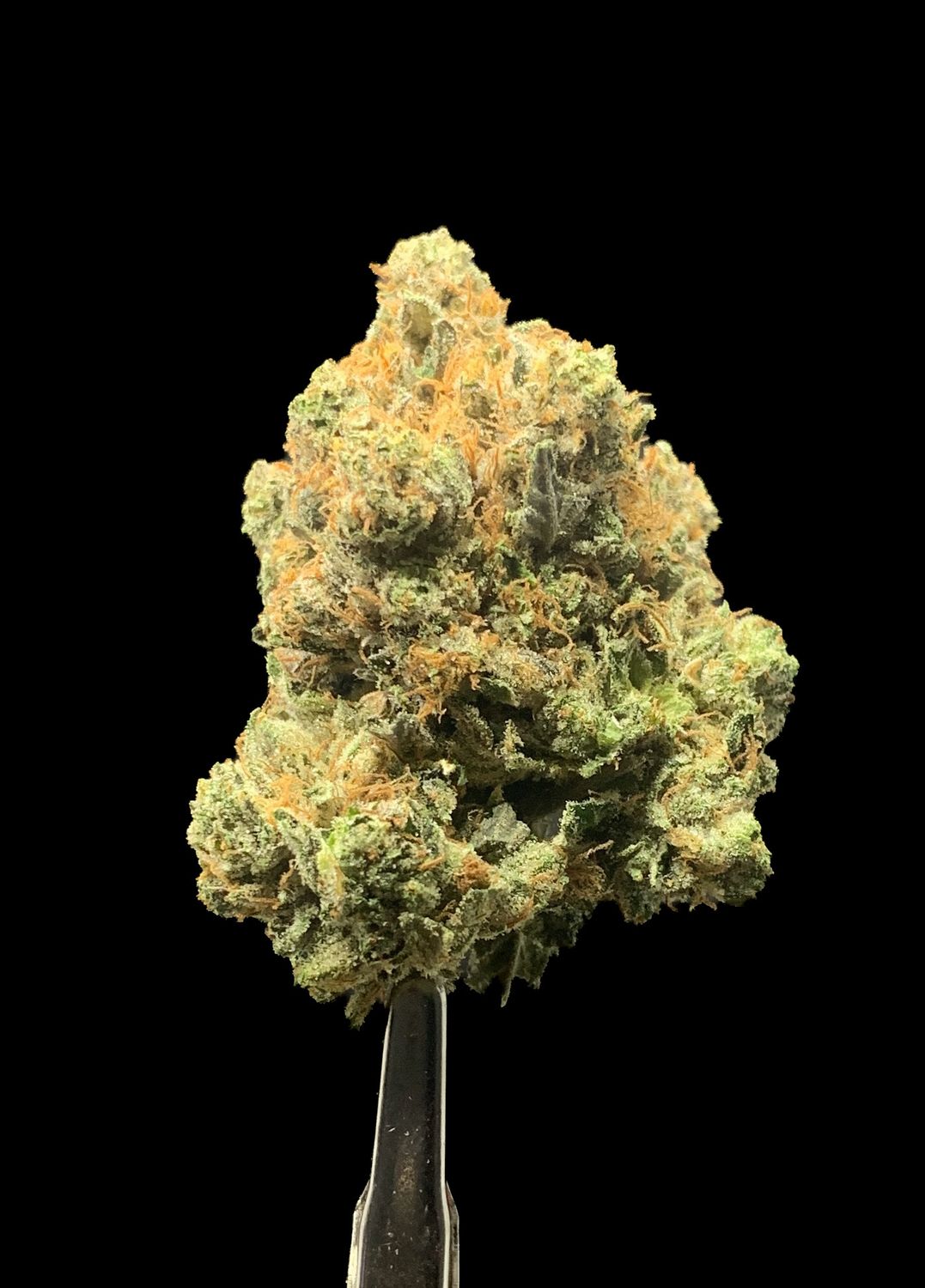 Pink Tuna