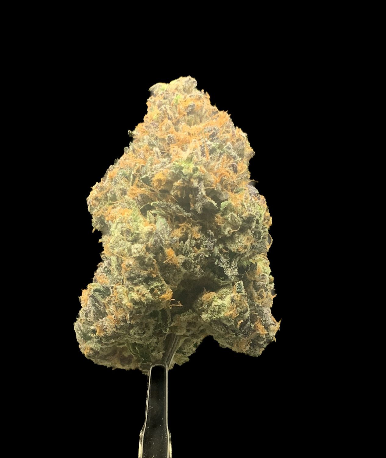 Mike Tyson OG