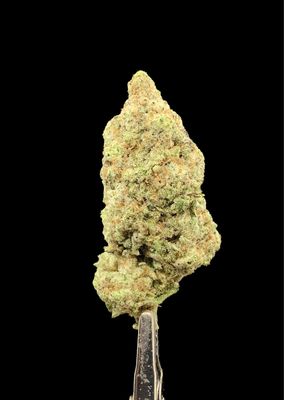 Miracle Alien Cookies (MAC1)