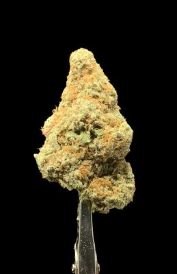 Miracle Alien Cookies (MAC1)
