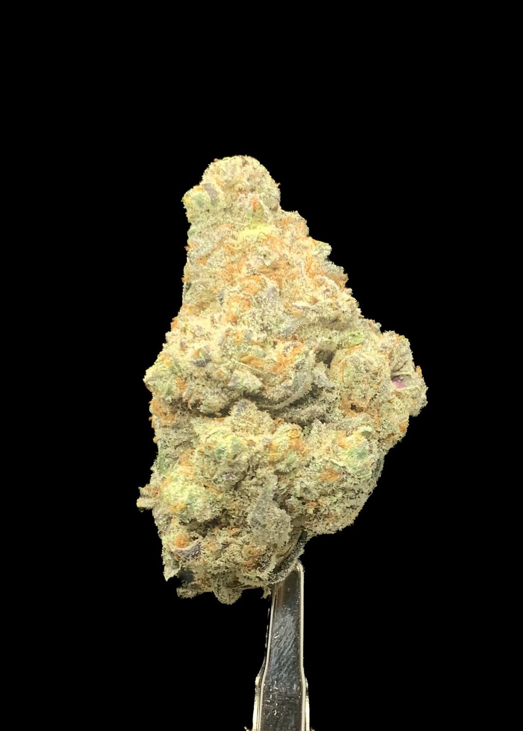 Polar Gelato