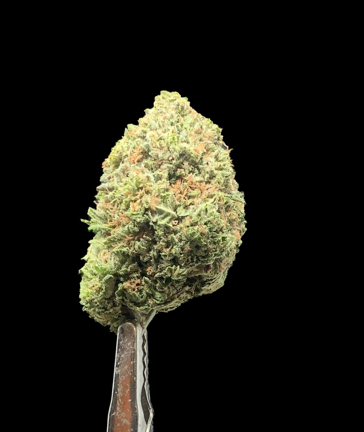 Pink Gas