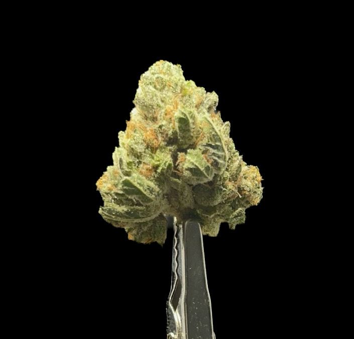 Pink Gas
