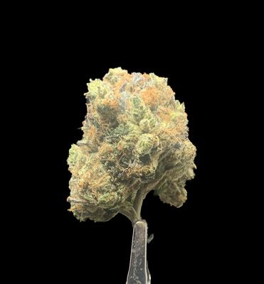 Master Kush Ultra
