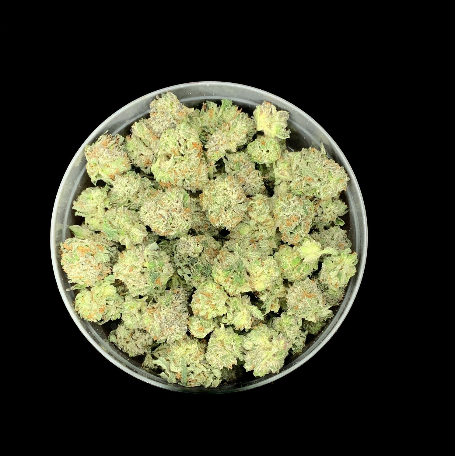 Doughboy Pink Smalls