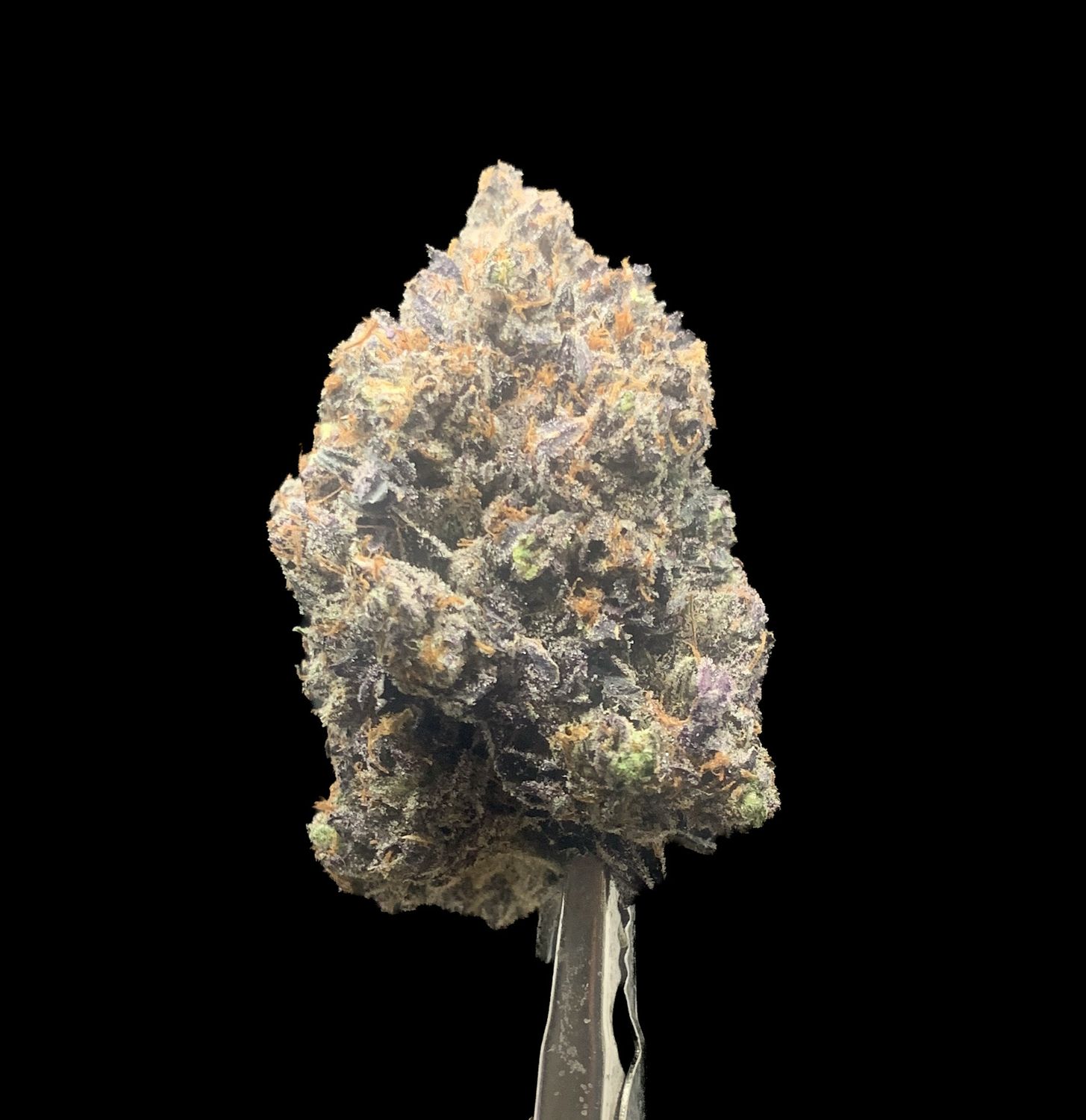 Grand Master Kush