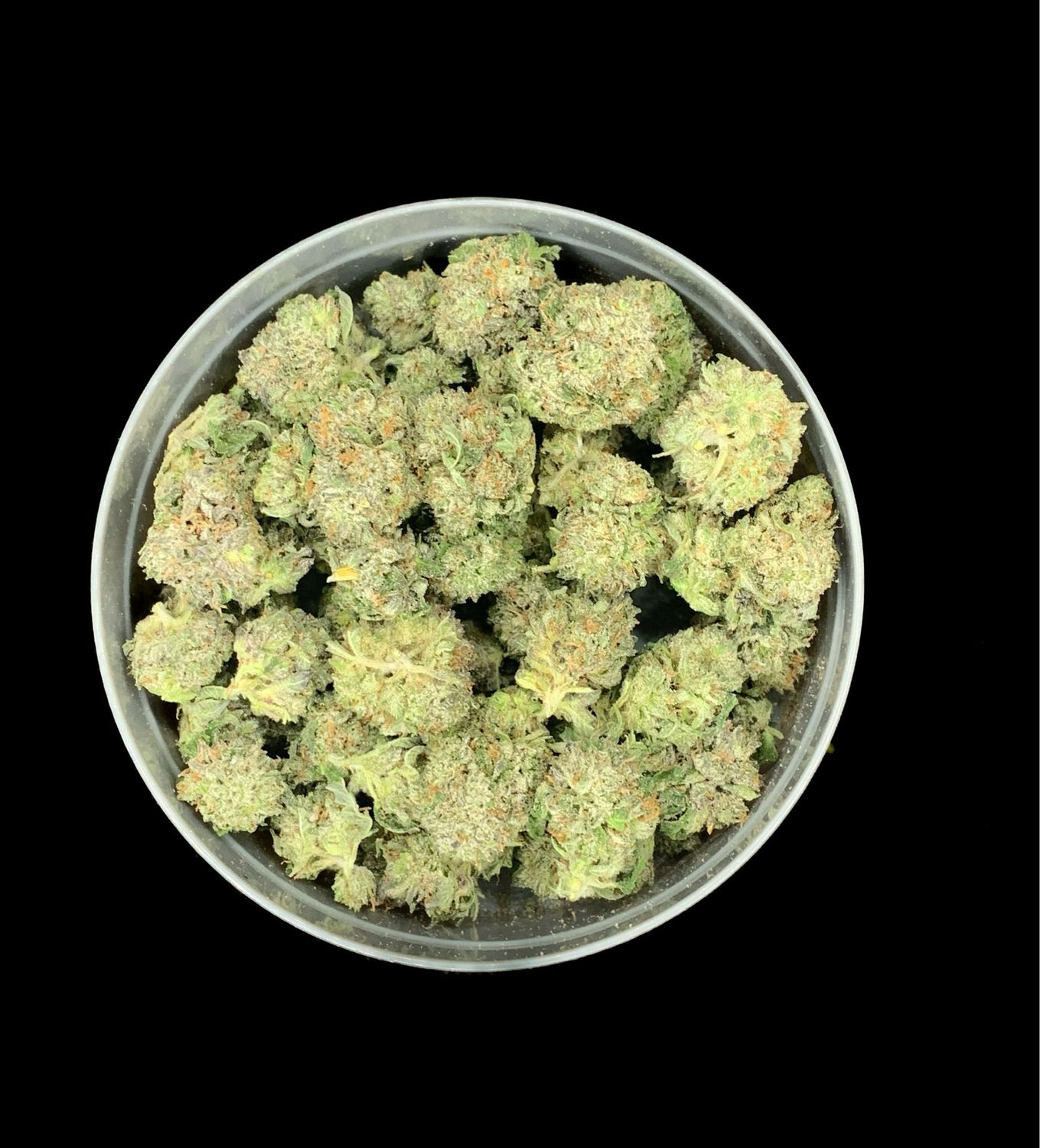 Pink Rockstar Smalls