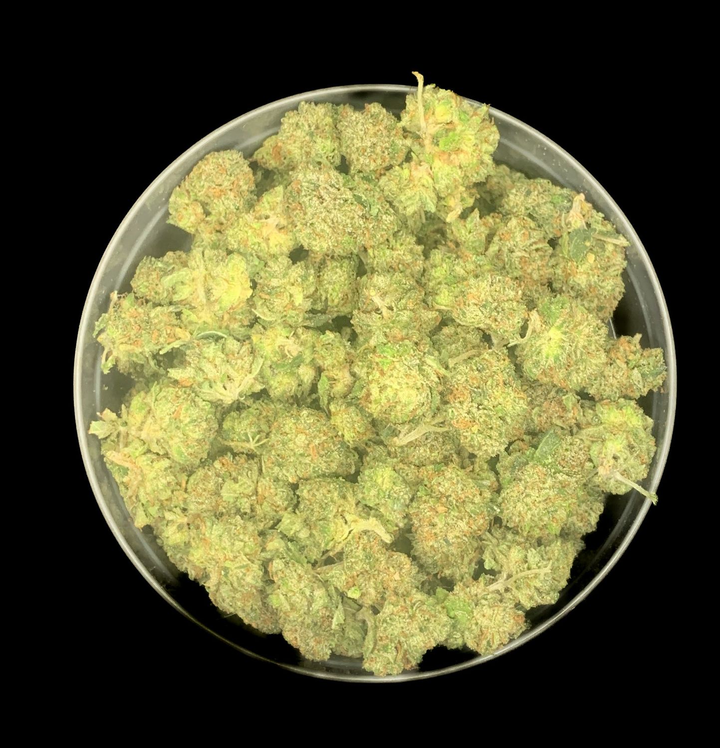 Pink Rockstar Smalls