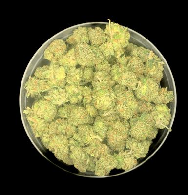 Pink Rockstar Smalls