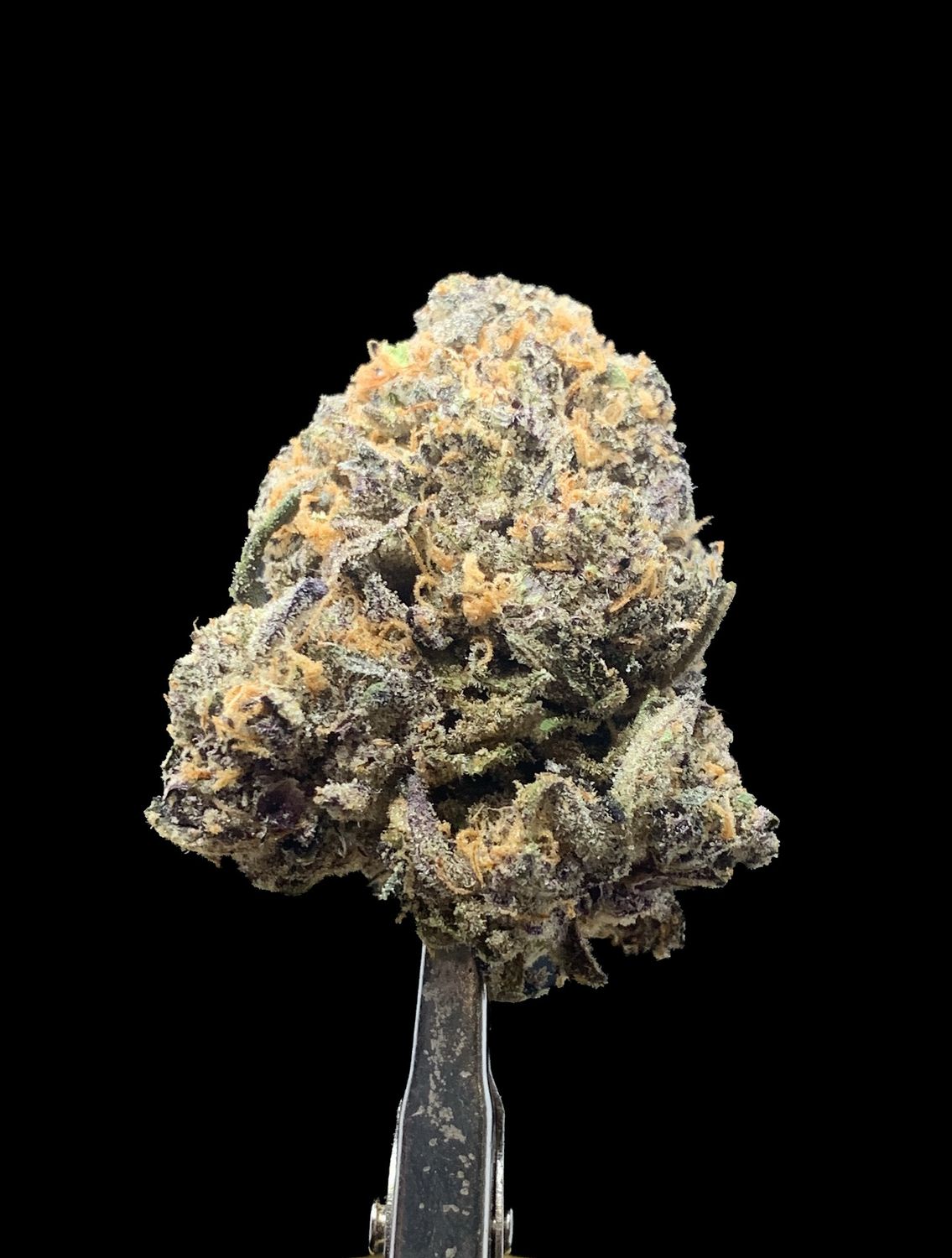 Purple Fuel