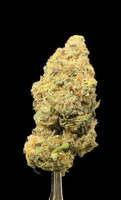 Face OFF OG