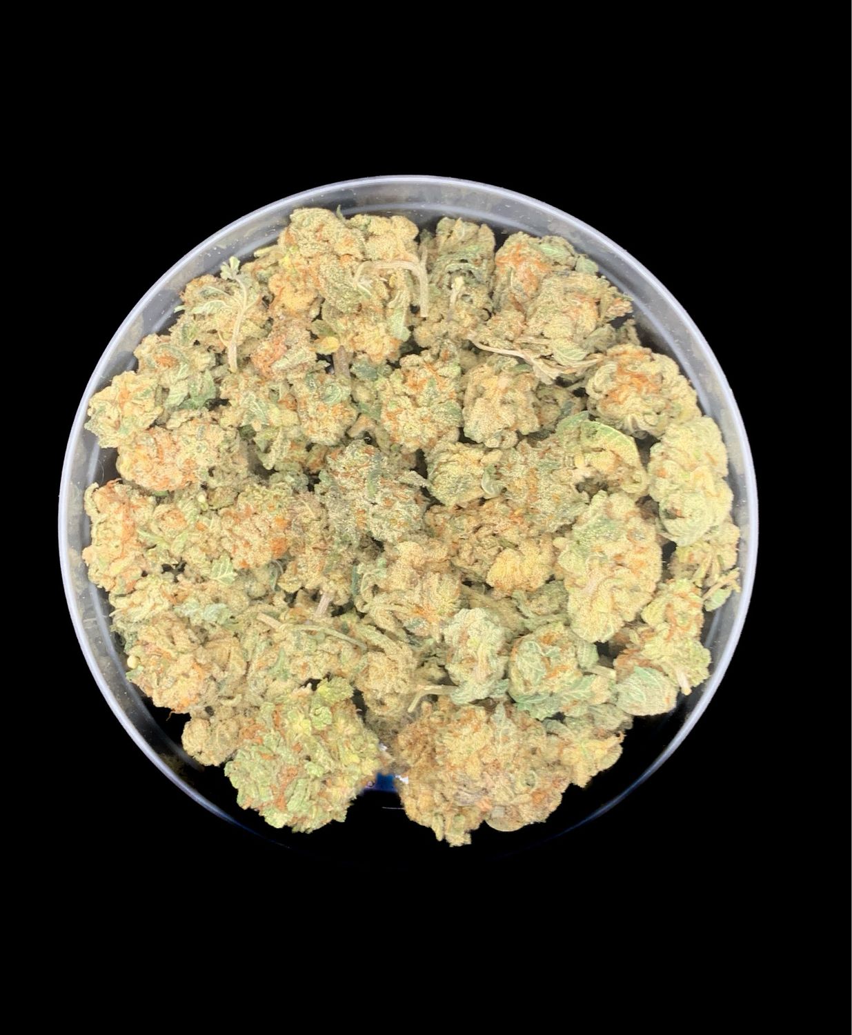 Vanilla Haze Smalls