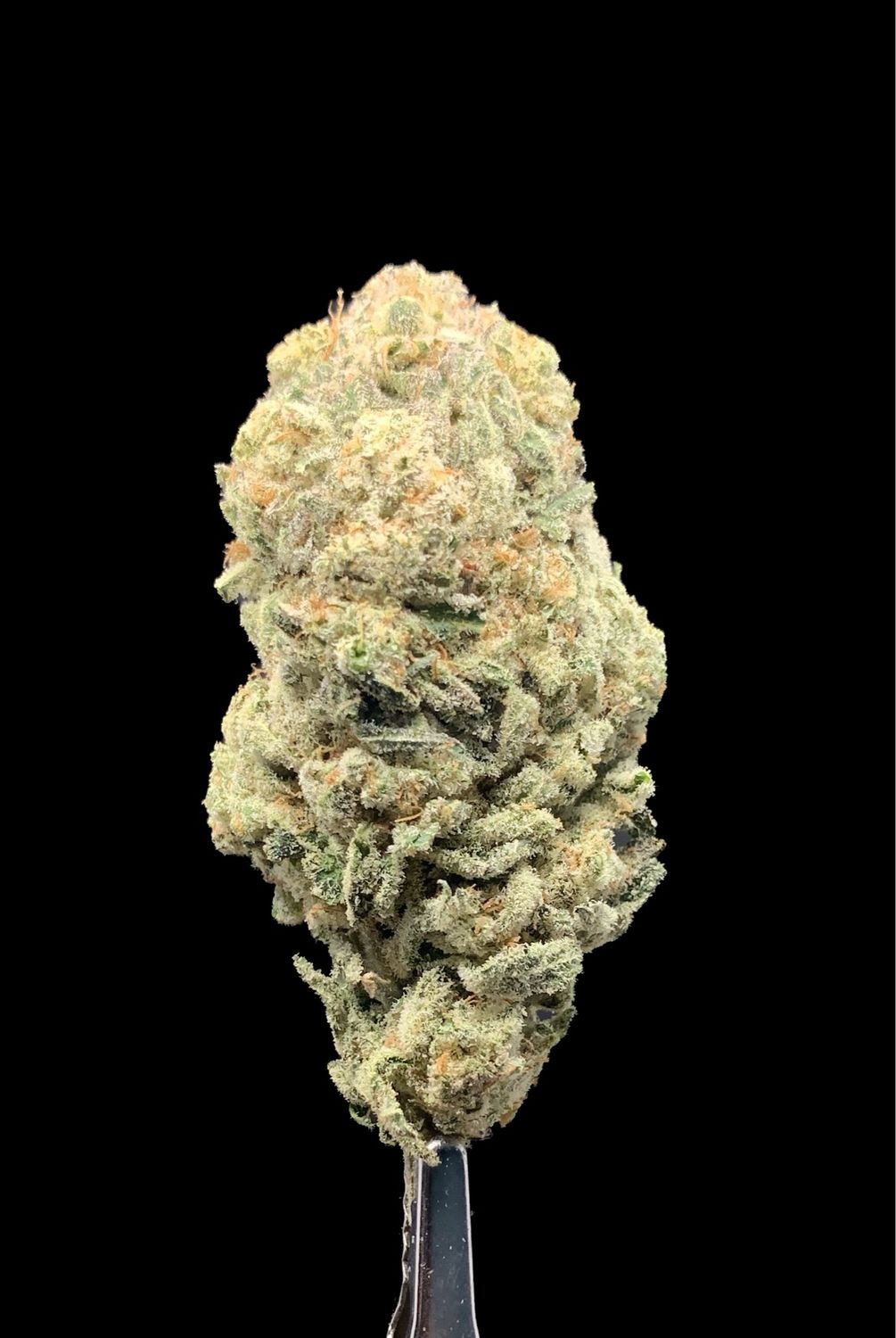 Blue Monster