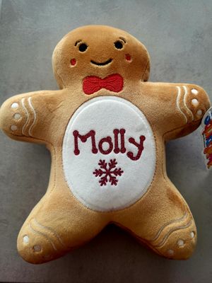 Personalised Mumbles Squidgy Gingerbread Teddy (25cm)