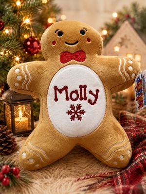Personalised Mumbles Squidgy Gingerbread Teddy (25cm)