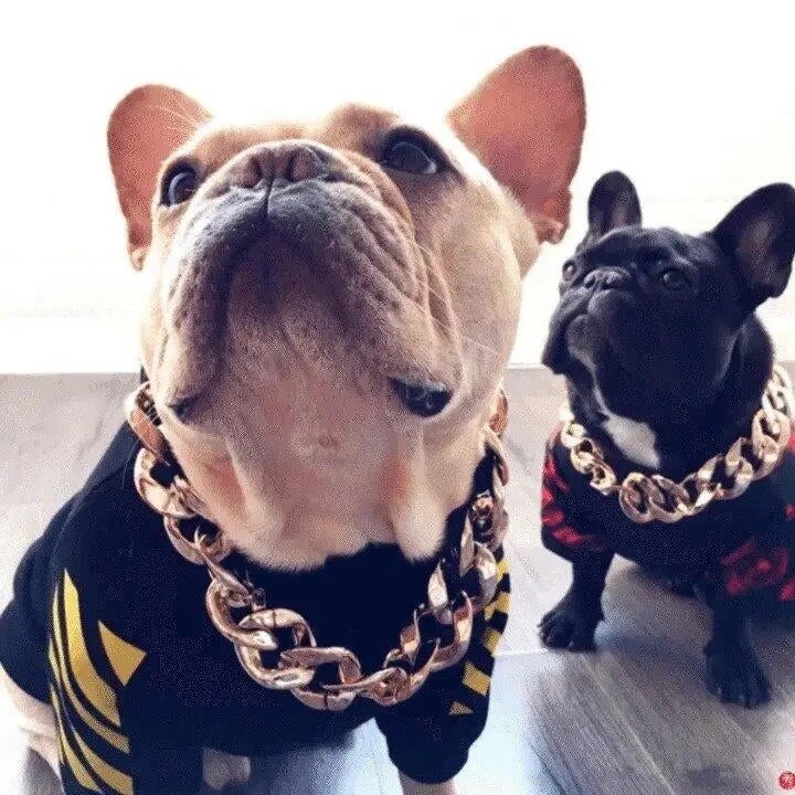 Thick Chain Collar