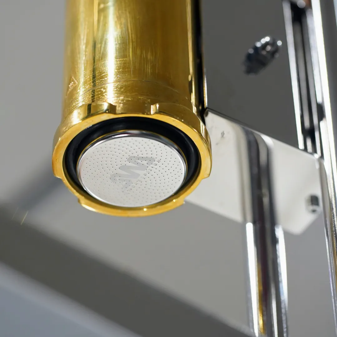 Shower Screen - Cremina/CT2/La Pavoni