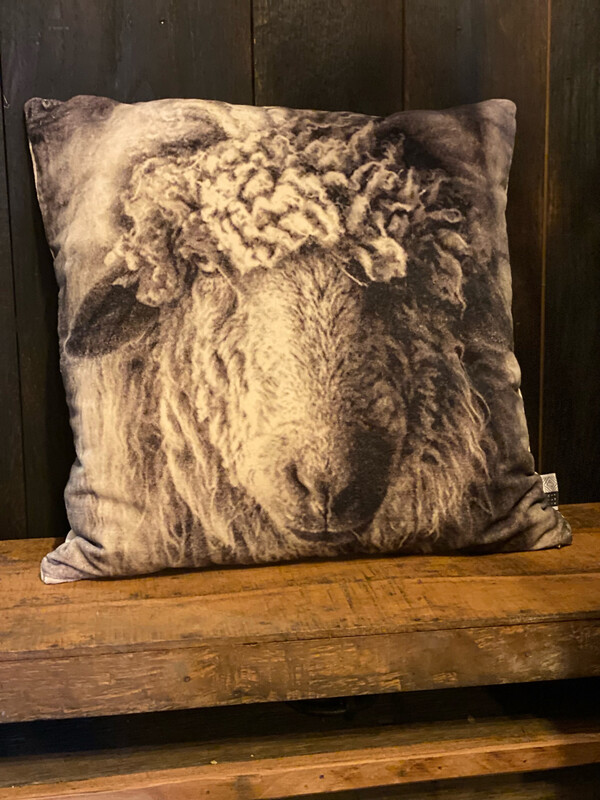 Velvet Kussen Met Schaap