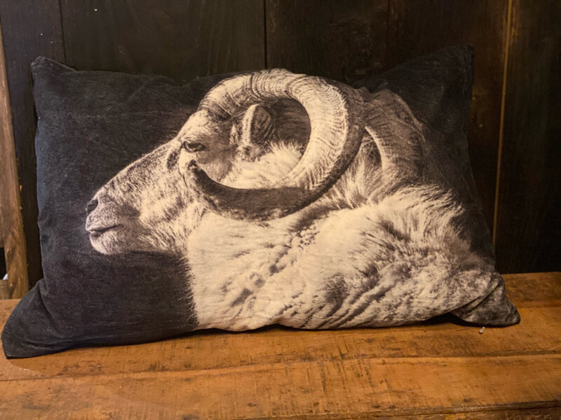 Velvet Kussen Met Ram