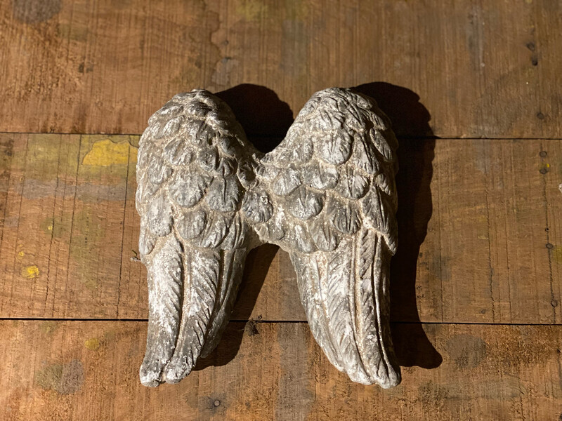Engelvleugeltjes