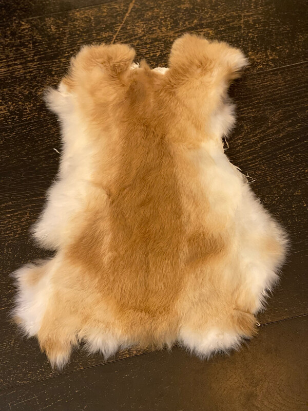 Konijnenvacht