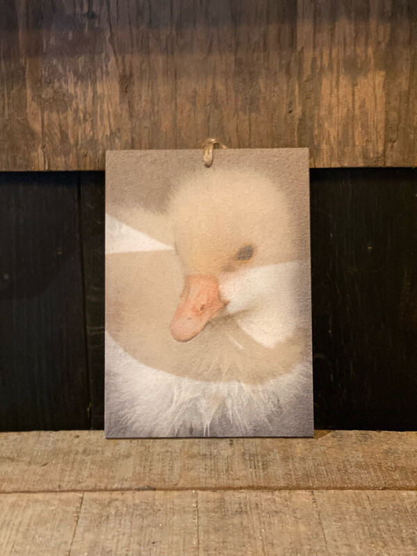 Deco Bordje Eend
