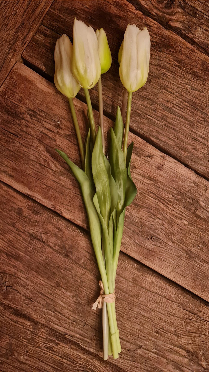 Grote Namaaktulpen Wit