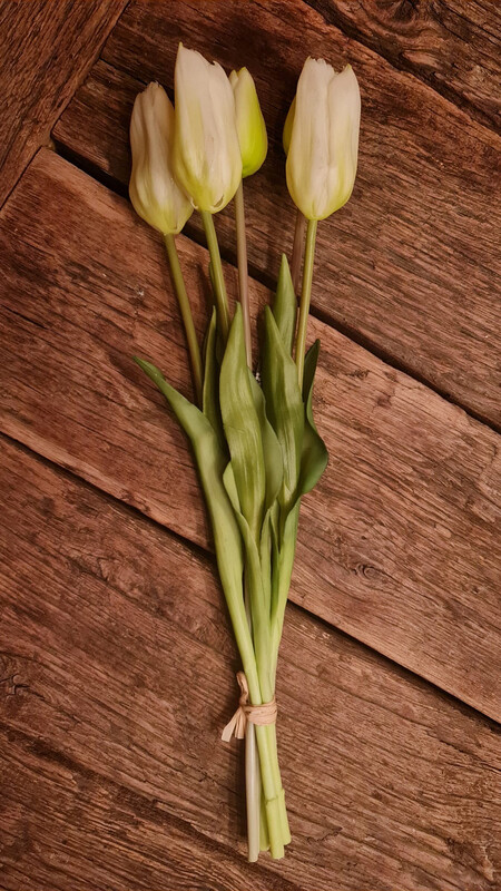 Grote Namaaktulpen Wit