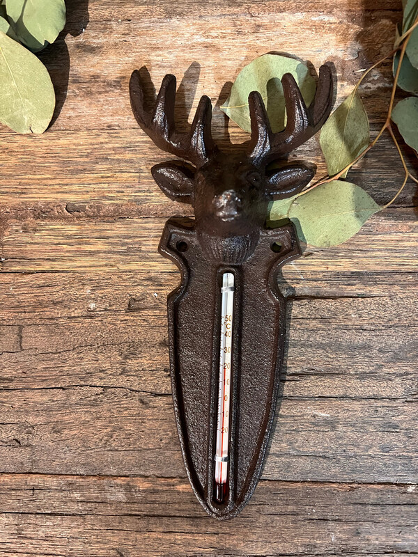 Thermometer