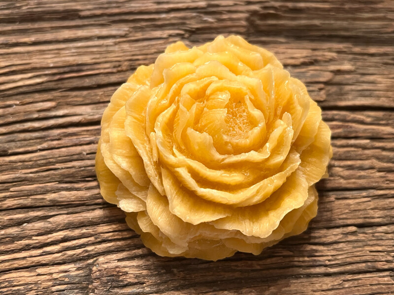 Amberbloem Lotus