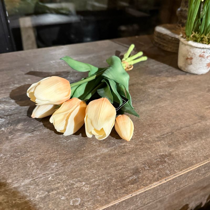 Bosje tulpen creme