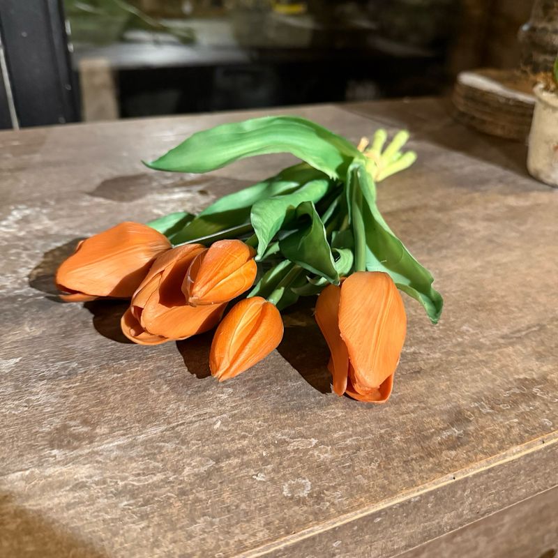Bosje tulpen in caramel kleur