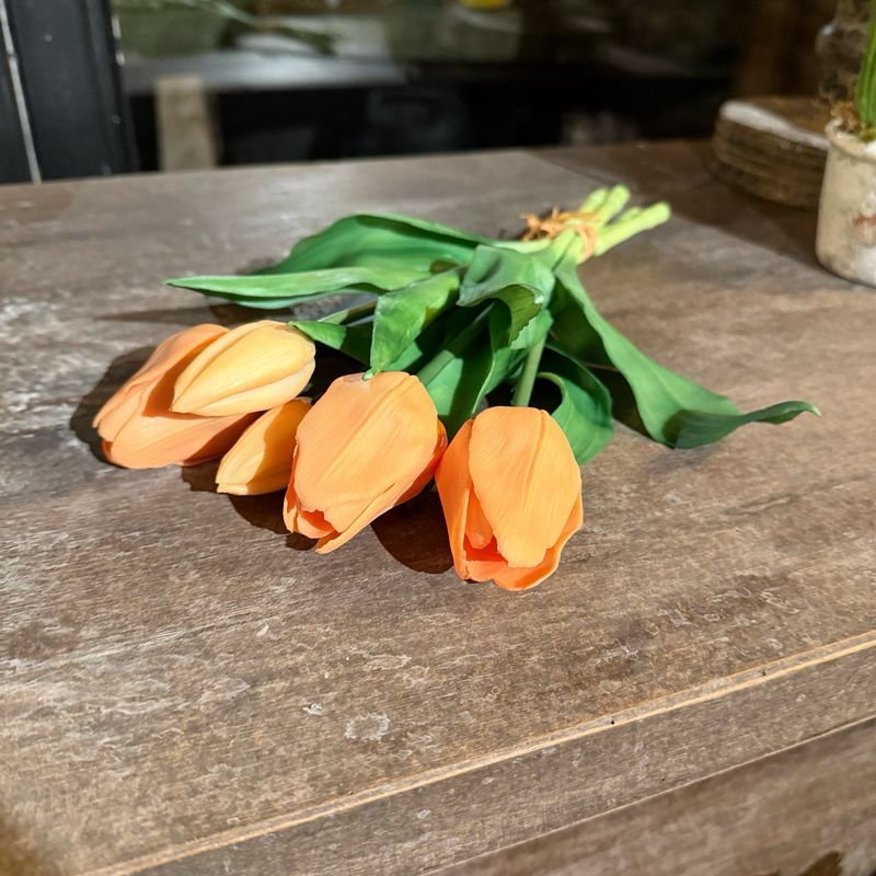 Bosje tulpen peach