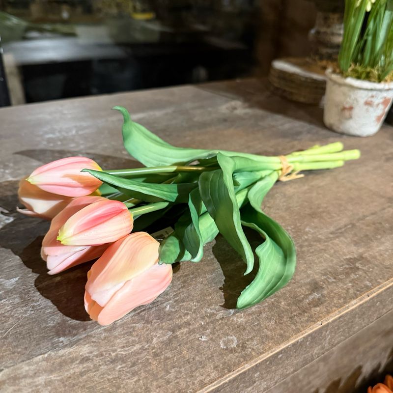 Bosje tulpen zacht roze