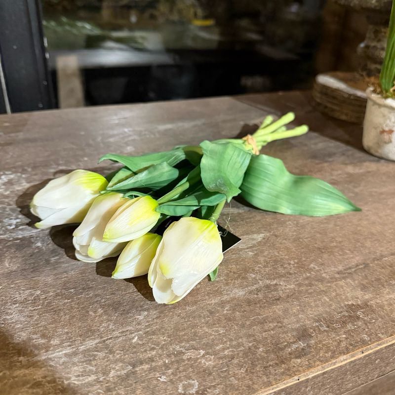 Bosje tulpen wit