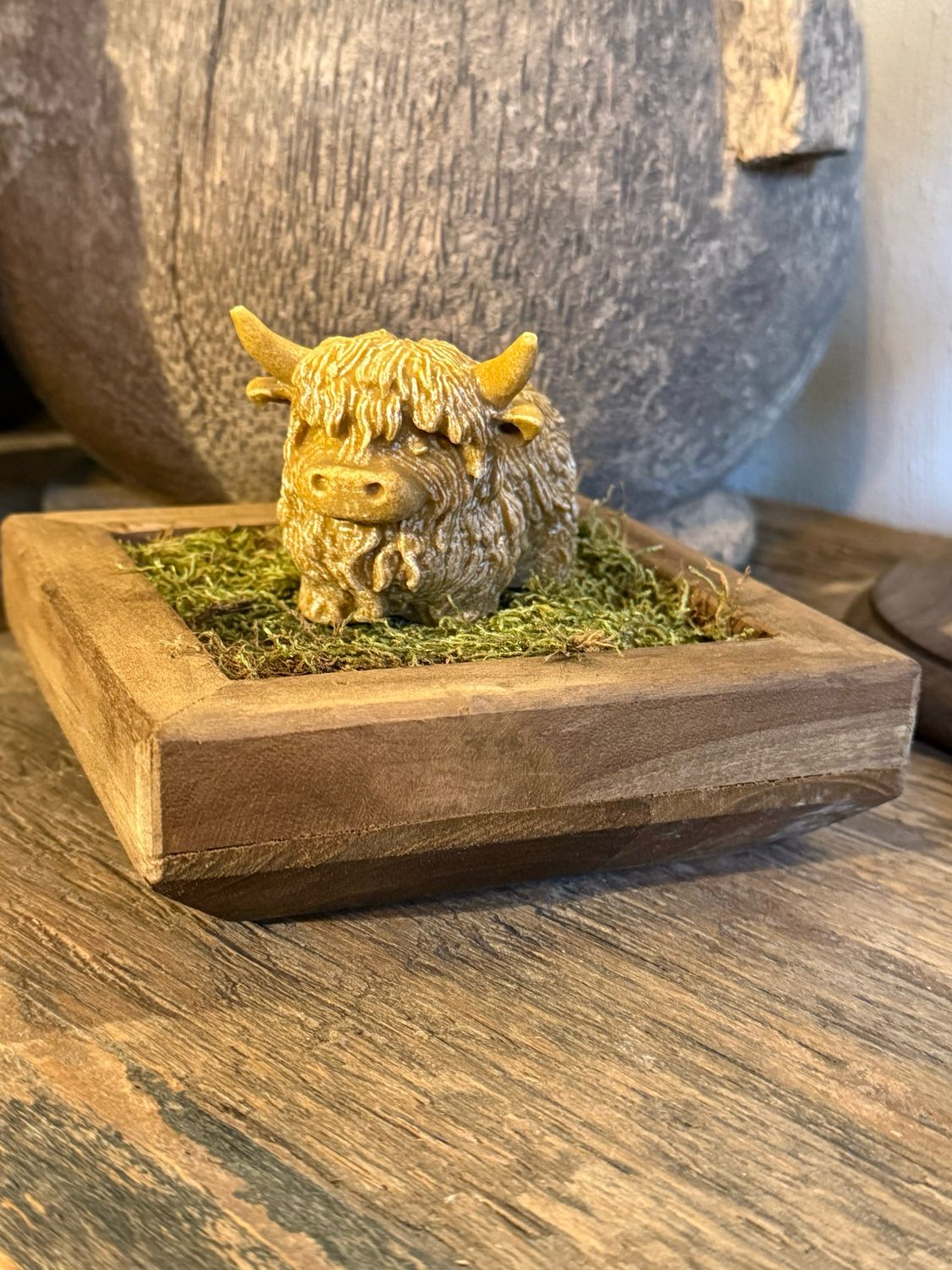 Amber hooglander met vierkant bakje. Amber hooglander met vierkant bakje.