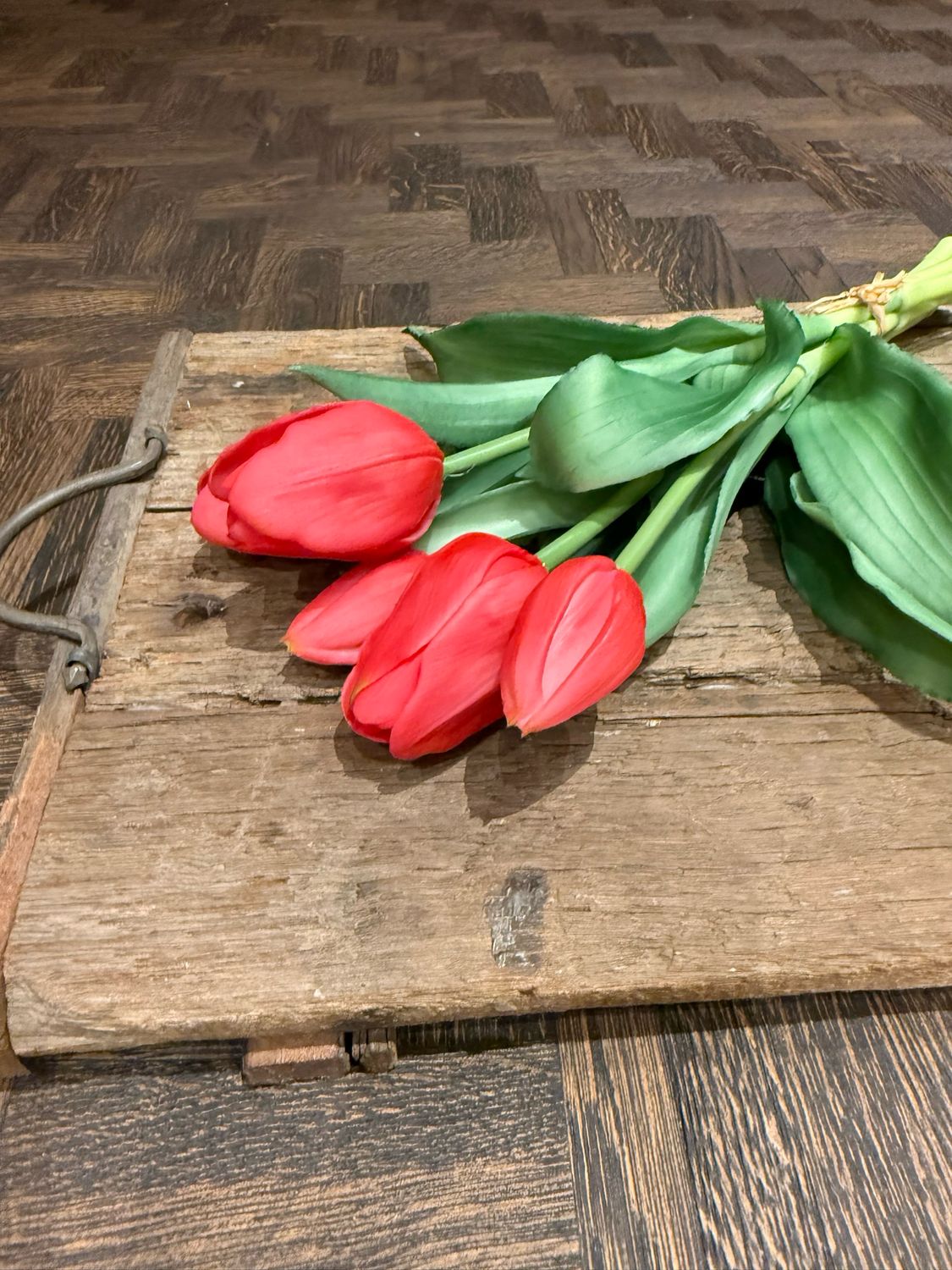 Tulp real toch 30 cm
