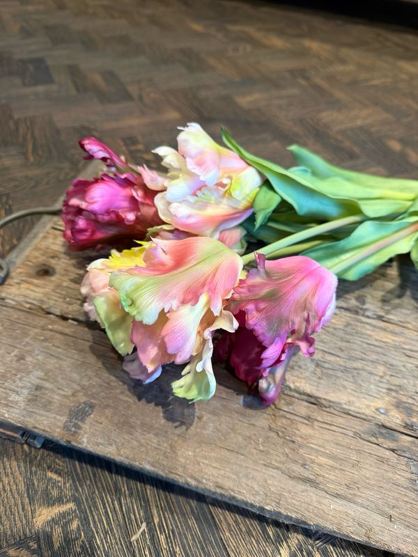 Parrot tulp real touch. Pink melange