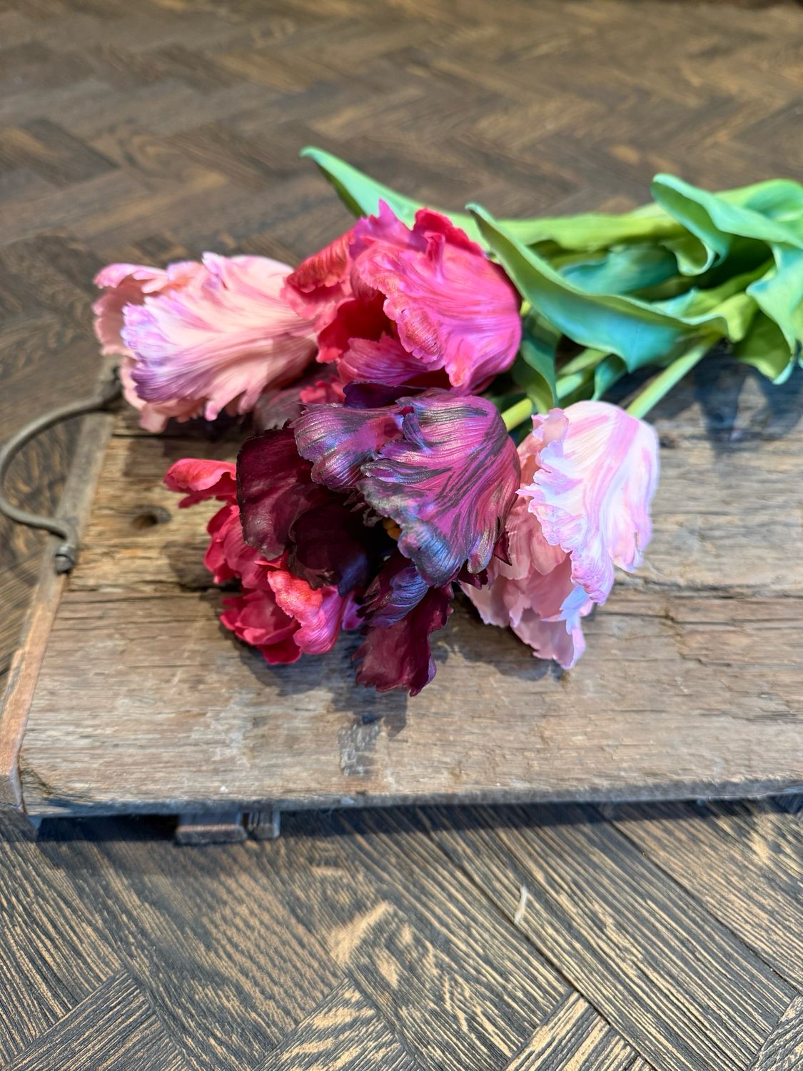 Parrot tulp dark pink melange