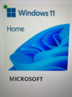 Microsoft Windows 11 Home Esd
