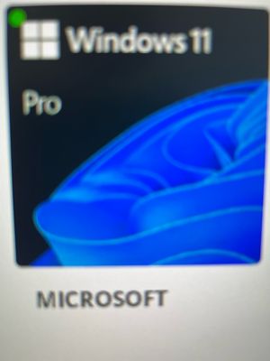 Microsoft Windows 11 Pro