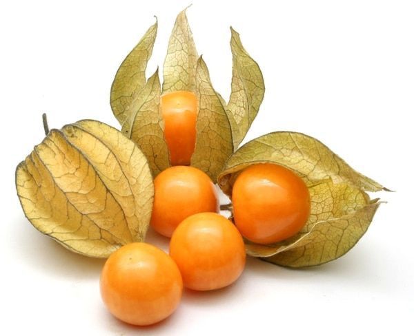 Goldenberry | Uchuva 100gr