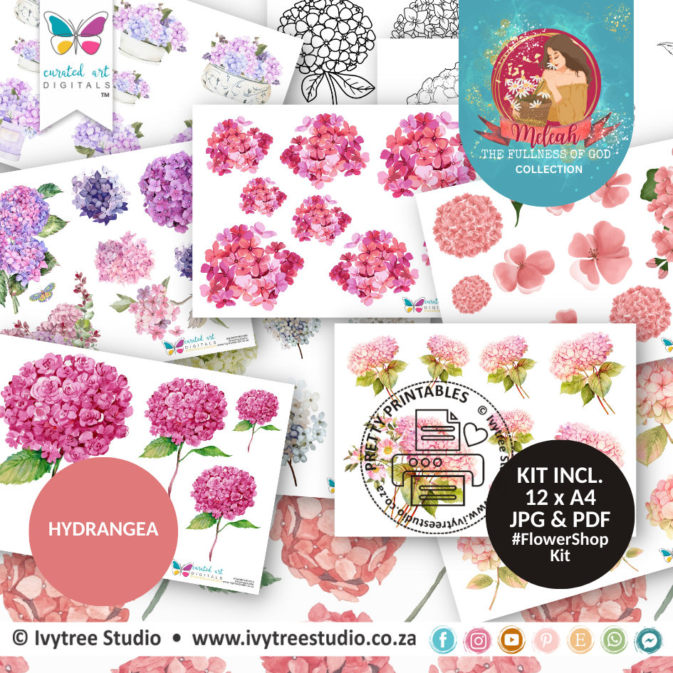 Hydrangeas - Flower Shop Kit - Meleah Collection - LillyB Design