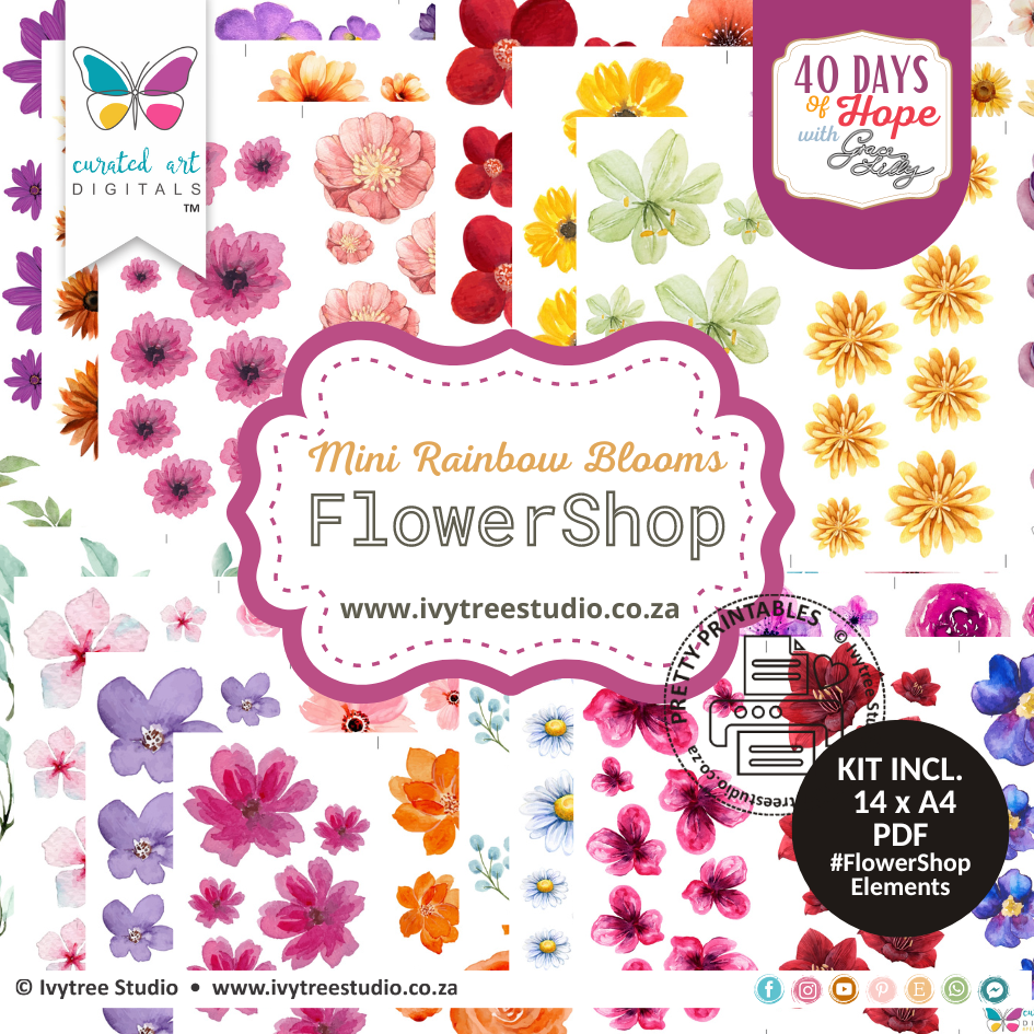 Mini Rainbow Blooms - Flowershop Kit - LillyB Design