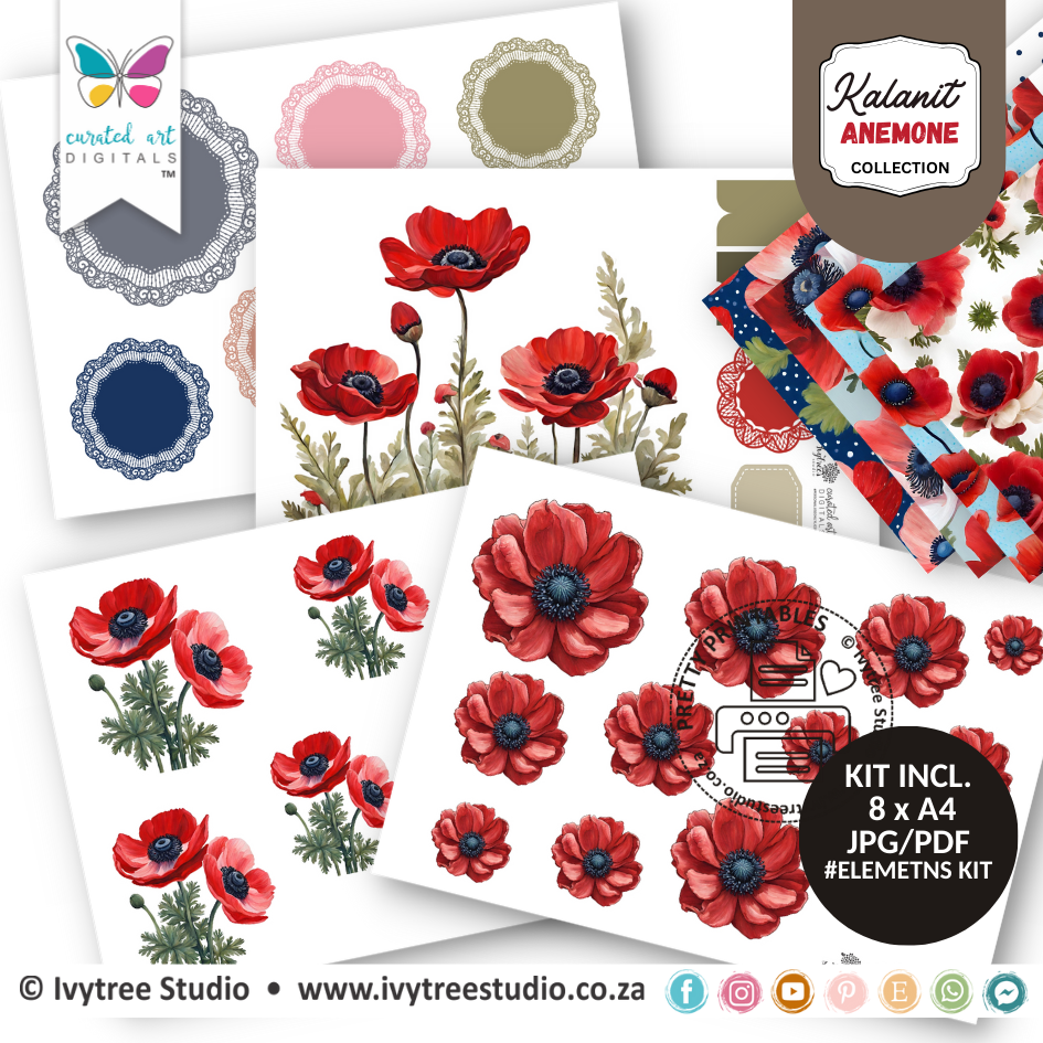 Kalanit Collection - Creative Elements Kit