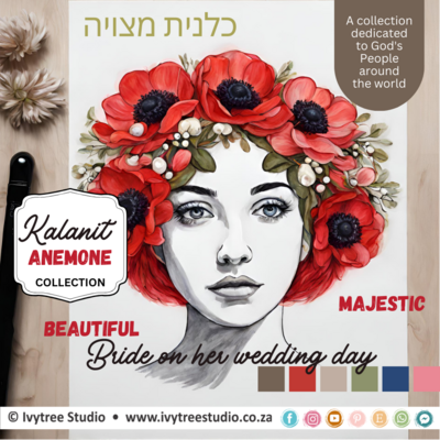 #268 Kalanit (Anamone) Collection