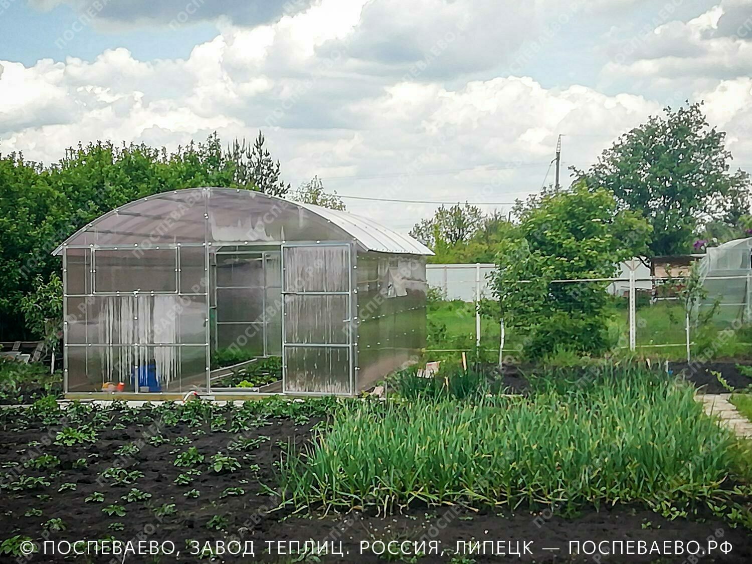 Поспеваево Теплицы В Туле Цена Купить